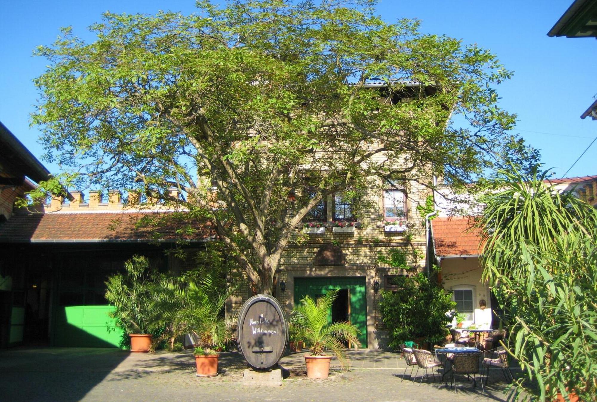 Gaestehaus Guntersblum エクステリア 写真